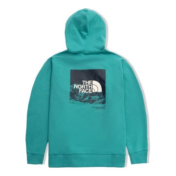 THE NORTH FACE SS22 Logo Hoodie 'Teal'