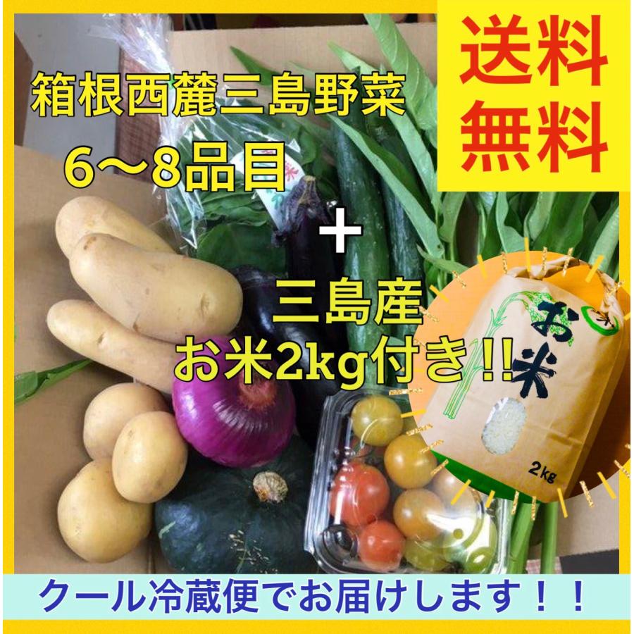 送料無料 三島産お米2kgと箱根西麓三島野菜 約6〜8品目　詰め合わせセット　（北海道・沖縄は別途送料）