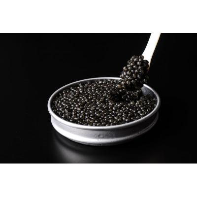 ふるさと納税 延岡市 MIYAZAKI CAVIAR 1983 (50g)×2個セット