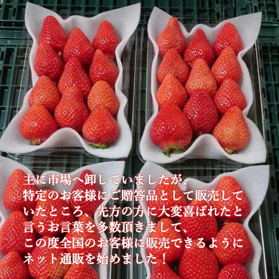 いちご 苺 福岡 プレゼント ギフト おすすめ フルーツ イチゴ 苺 高級 神激のあまおう 送料無料 人気  3箱 6パック