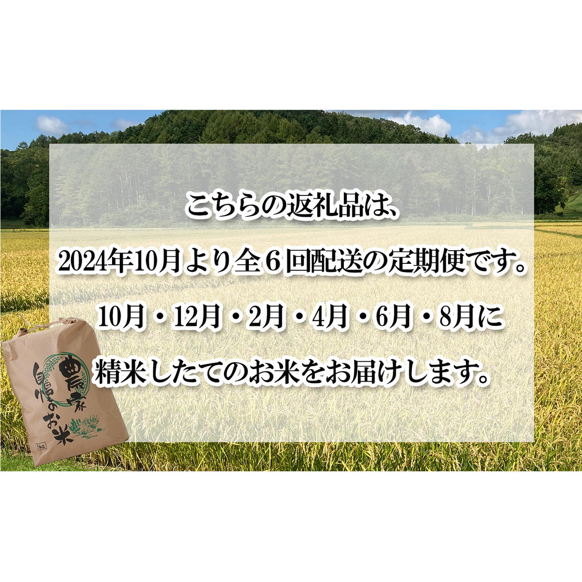 ＜ 予約 定期便 全6回 ＞ 北海道産 希少米 おぼろづき 白米 5kg ＜2024年10月より配送＞