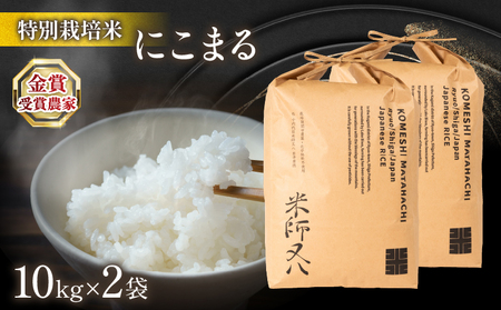 令和5年産 十六代目米師又八 謹製 にこまる 10kg×2袋  米 新米 にこまる 精米 にこまる 白米 にこまる 令和5年産 にこまる 産地直送 にこまる 農家直送 にこまる 国産 にこまる 特別栽培米 にこまる 金賞農家 にこまる 滋賀県 竜王町)