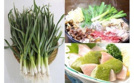 葉 ニンニク 150g×6袋 冷凍 有機栽培 有機野菜 無農薬 健康食品 有機JAS認定 高知県産 須崎市