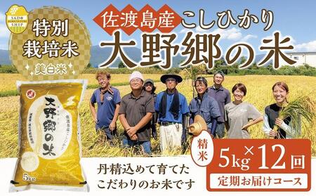 佐渡島産 特別栽培米こしひかり「大野郷の米」精米5kg×12回 定期お届けコース