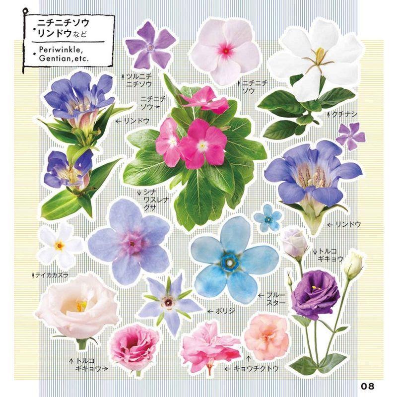 小学館の図鑑NEO 花シール