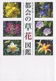 都会の草花図鑑 秋山久美子