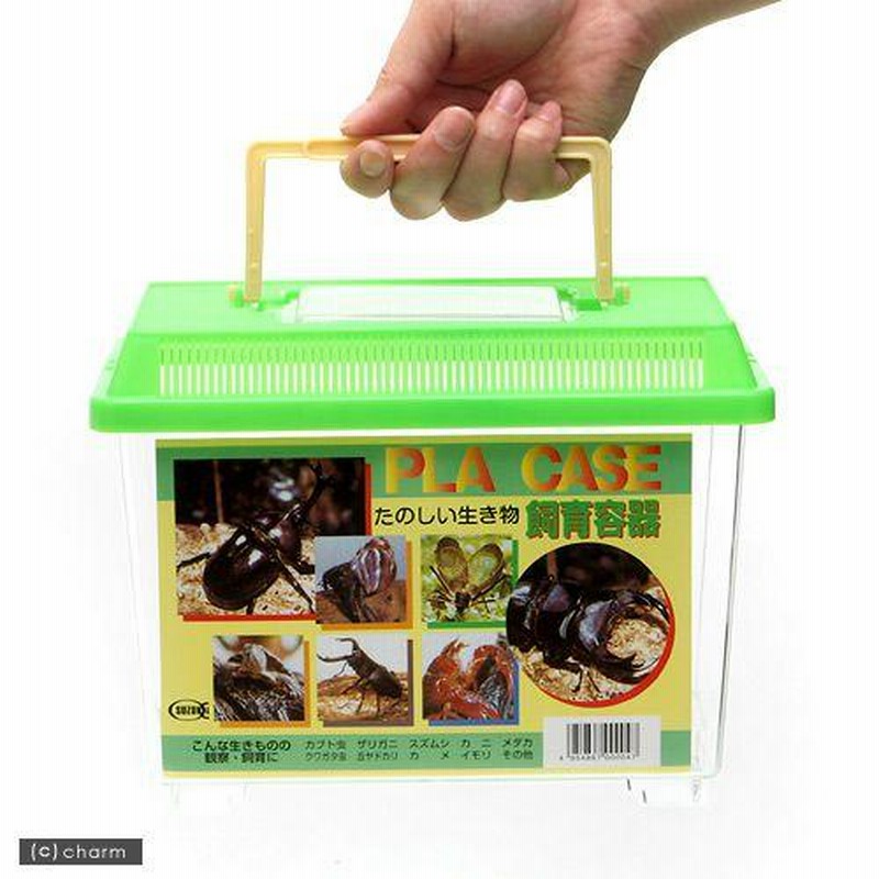 虫かご・飼育ケース Ya1212 楽天市場】60 虫かごの通販