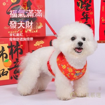 🐕寵物胸背 狗狗胸背帶 狗狗牽繩 狗狗胸背 寵物牽繩 小狗 寵物衣服 狗狗胸背帶 比熊 外出遛狗 牽引繩 狗繩