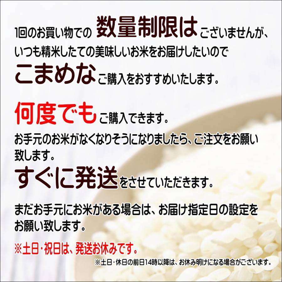 米 新米 令和5年 お米 無洗米 銀河のしずく 2kg×3袋 岩手県産 ご飯 ライス