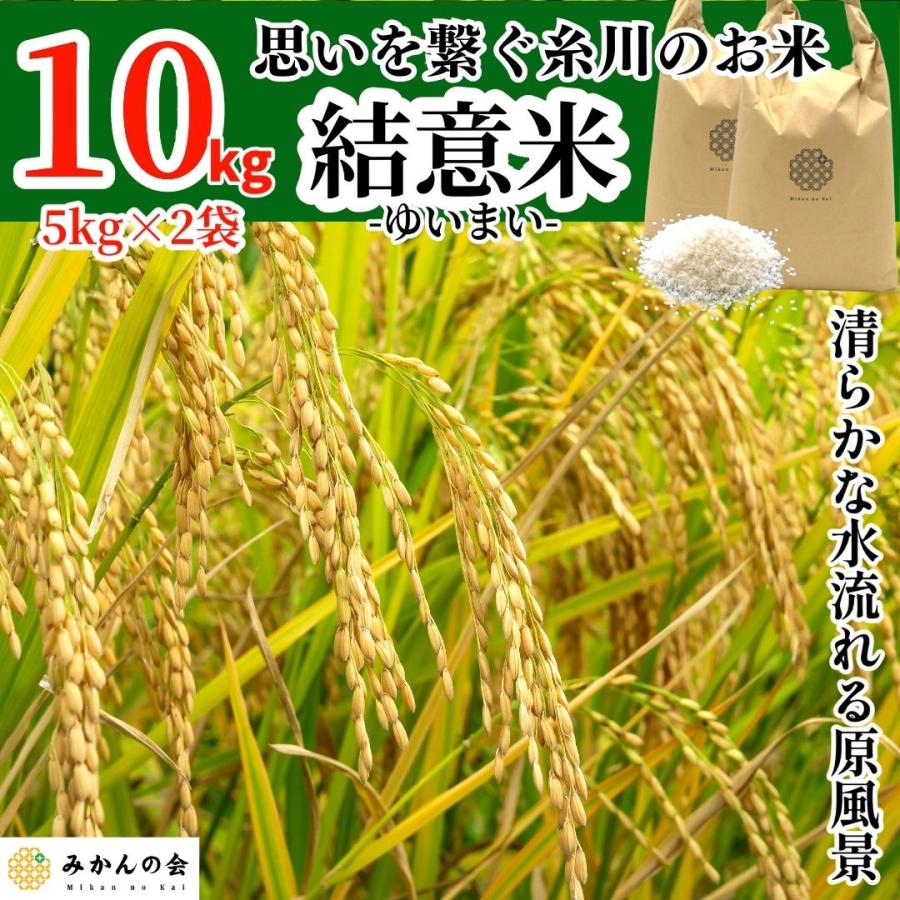 お米 10kg 思いを繋ぐ糸川のお米 結意米 ミネアサヒ 和歌山県産 