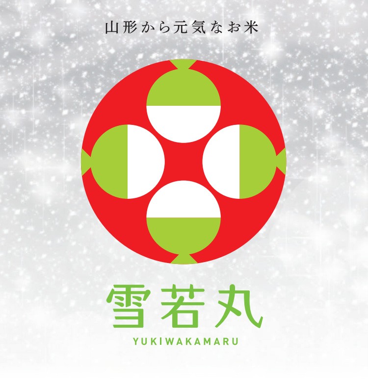 新米 米 白米 10kg 送料無料 雪若丸 5kg×2袋 山形県産 令和5年産 雪若丸 お米 10キロ 安い 送料無料