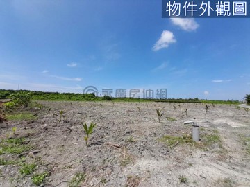 新埤都市農夫多筆|有排水|有電|15米路旁|｜屏東縣新埤鄉新華段