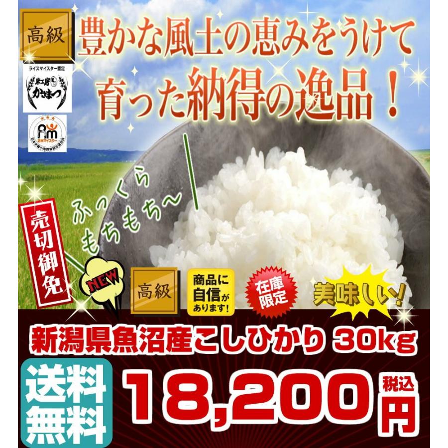 コシヒカリ 令和3年産 30kg 新米 魚沼産 白米 玄米 安い 10kg×3袋 米 お米 選べる 送料無料 新潟県産 タイムセール