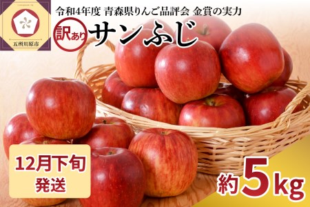 りんご 青森産 約5kg サンふじ