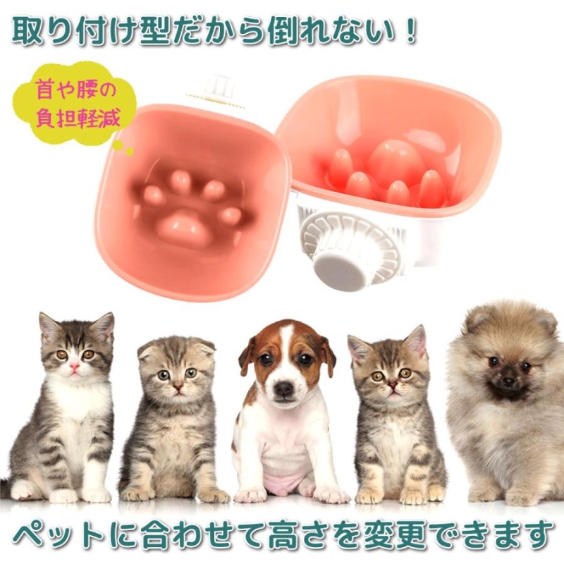 食器 小型犬 猫 餌入れ 水入れ フードボウル 早食い防止 固定 給水器