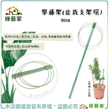 【綠藝家】攀藤架-90公分 (盆栽支架環) 爬藤架、園藝支架、瓜架、植物架、支架