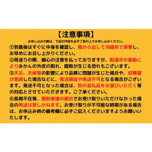 ふるさと納税 高知県 須崎市  訳あり 小夏 家庭用 5kg 高知県産 早期予約 柑橘 フルーツ 果物 みかん ミカン 蜜柑 こなつ ニューサマー…