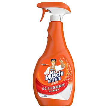 【史代新文具】威猛先生 去霉劑噴槍瓶 500g