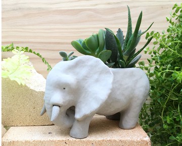 【訂製需等待】大象 水泥盆 非洲 開店 交換禮物 聖誕禮盒 花禮