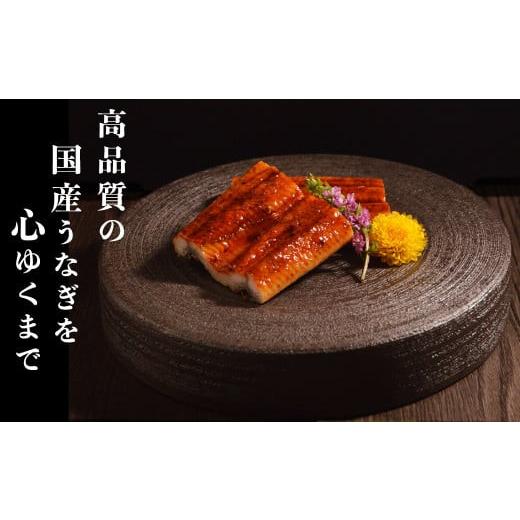 ふるさと納税 熊本県 水上村 特上うなぎ 約600g (約200g×3尾) タレ付き うなぎ 蒲焼 熊本県 水上村