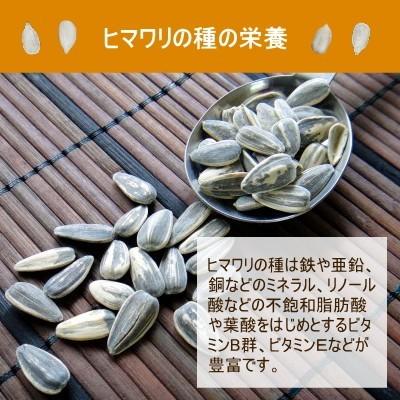 ナッツ ひまわりの種 500g 無添加 おつまみ おやつ 非常食