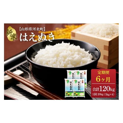 ふるさと納税 山形県 河北町 ※2023年12月下旬スタート※ はえぬき120kg（20kg×6ヶ月）定期便 山形県産