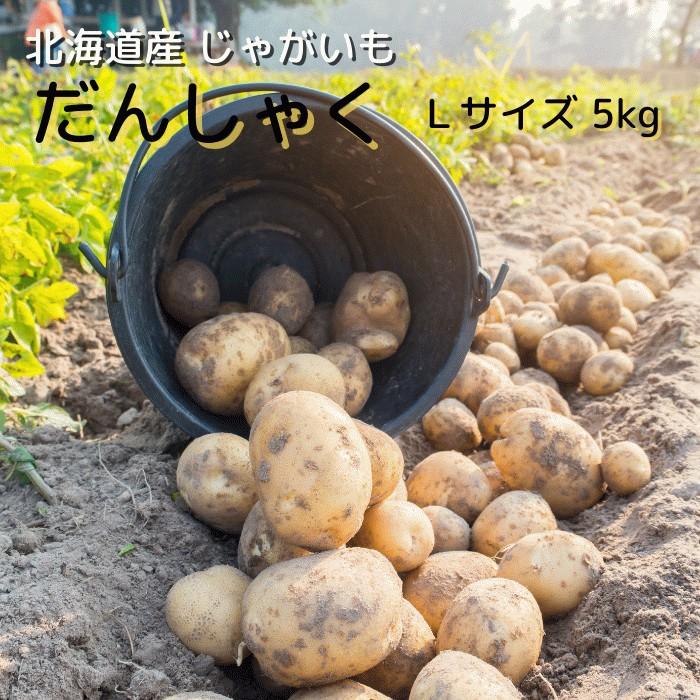 北海道産 じゃがいも だんしゃく Lサイズ 5Kg