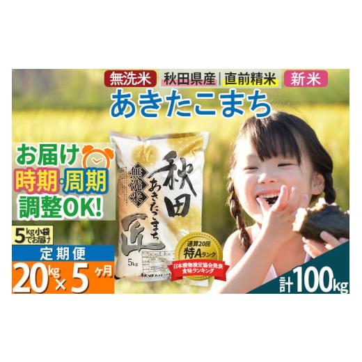 ふるさと納税 秋田県 仙北市 ＜新米＞《定期便5ヶ月》秋田県産 あきたこまち 20kg (5kg×4袋) ×5回 令和5年産 発送時期が選べる 周期調整OK 隔月配…