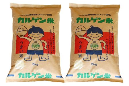 熊本県産 カルゲン農法米 コシヒカリ米 10kg 精米 米