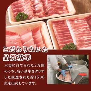 玉城豚焼肉セット