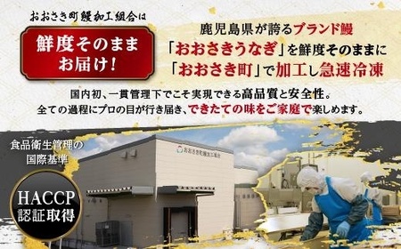 鹿児島県産うなぎ長蒲焼2尾 養殖 うなぎ 生産量 日本一 うなぎ 鰻 ウナギ 産地直送 うなぎ 鰻 ウナギ 高級 地元養鰻 うなぎ 鰻 ウナギ ふっくら うなぎ 鰻 ウナギ ブランド うなぎ 鰻 ウナギ 特上 うなぎ 鰻 ウナギ ふわふわ シラスうなぎ うなぎ 鰻 ウナギ 国産うなぎ 特産品 うなぎ お取り寄せ うなぎ 大人気 うなぎ 稚魚から養鰻うなぎ 鹿児島県 大崎町 送料無料