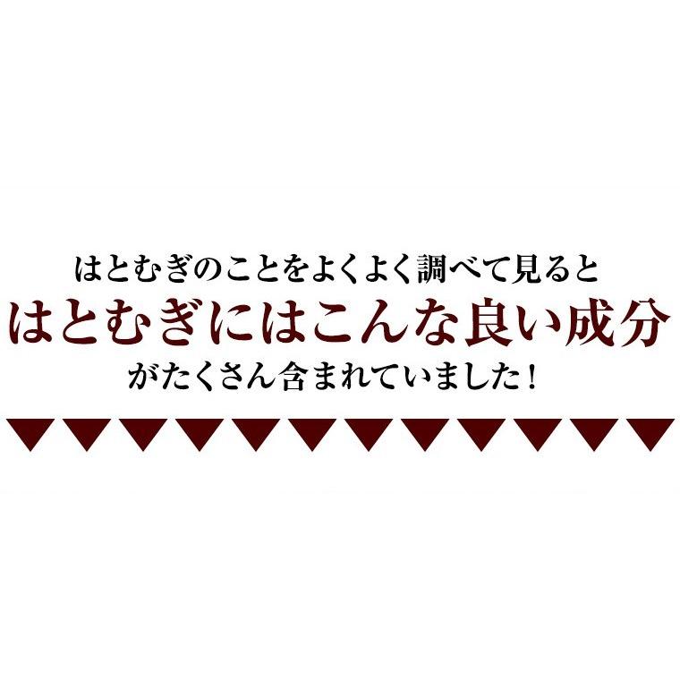 ハトムギ そのまま食べる はと麦 はとむぎ スナック 100ｇ 送料無料 はとむみ 煎り 焙煎 美容 健康 ヨクイニン はと麦茶 はとむぎ茶 国内製造 シリアル