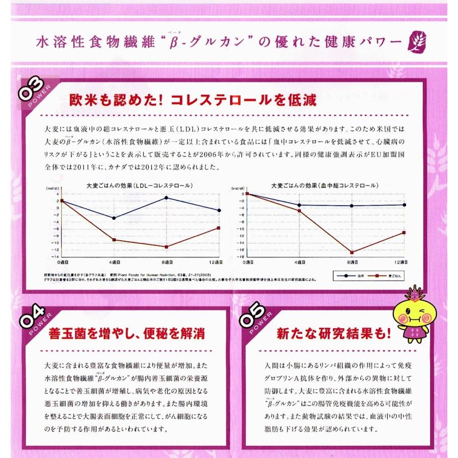 １kg分のダイシモチのポン加工品：完全な無添加もち麦100％　（原料段階で1ｋｇ）