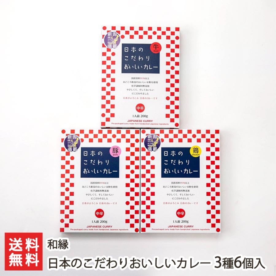 日本のこだわりおいしいカレー 3種6個入り 惣菜 和縁 後払い決済不可 送料無料