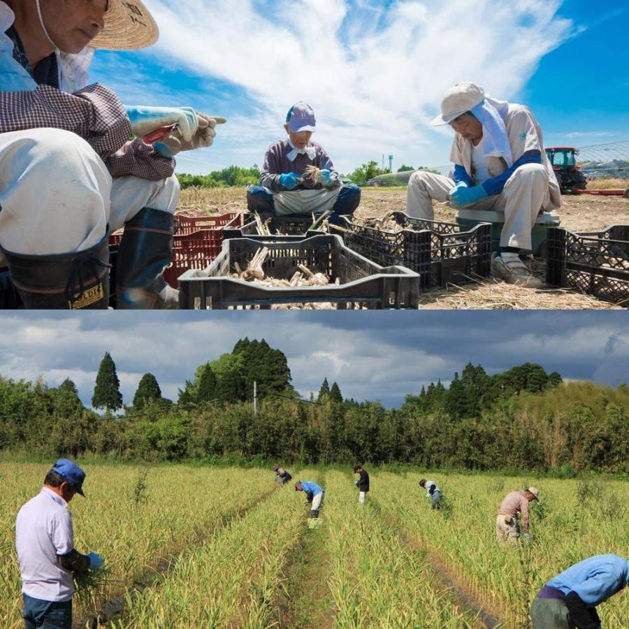 もみきの黒にんにく 宮崎県産黒にんにく「くろまる」 31片入3袋（約3ヶ月分）