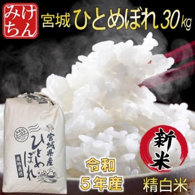 ふるさと納税 村田町 令和5年産　宮城県産ひとめぼれ 精白米30kg