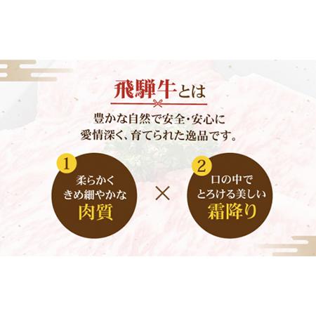 ふるさと納税 飛騨牛 サーロインステーキ 400g×2枚 国産 和牛 牛肉 焼肉 お取り寄せ   [MBE021] 岐阜県土岐市