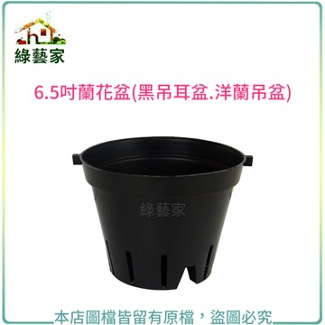 【綠藝家】6.5吋蘭花盆(黑吊耳盆.洋蘭吊盆)