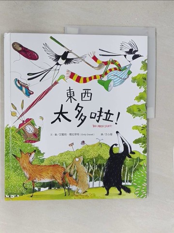 【書寶二手書T1／少年童書_Y2V】東西太多啦！_艾蜜莉．葛拉菲特, 王心瑩