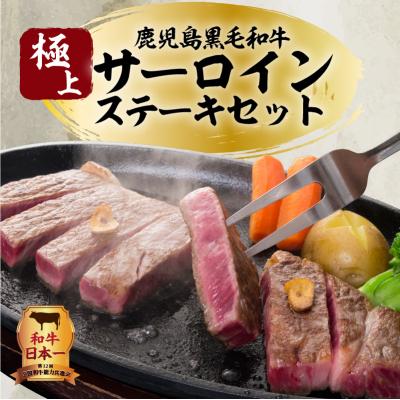 ふるさと納税 鹿児島市 鹿児島黒毛和牛の極上サーロインステーキセット 500g