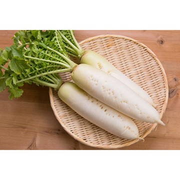 【拈花微笑】白蘿蔔｜種子｜5g｜非基因改造種子｜蔬菜｜蔬果｜有機無毒｜高發芽率