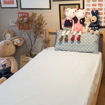 annahome 棉床本舖 防水床包式保潔墊  雙人(186 x 150cm)  白色  1件