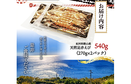 紀州和歌山産天然足赤えび540g（270g×2パック）　化粧箱入 ※着日指定不可 ※2023年11月上旬～2024年2月下旬頃に順次発送予定