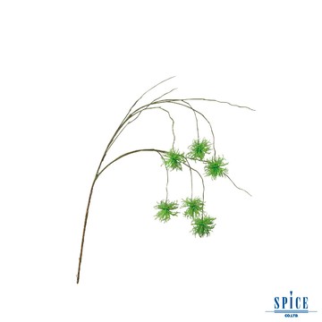 SPICE人造垂頭翠菊 KLGK2940