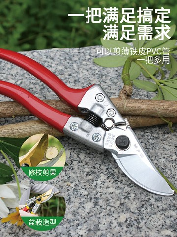 臺灣進口樹枝剪修枝剪粗枝剪花剪修剪果樹剪枝園丁日本鋼園藝剪刀