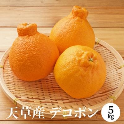 ふるさと納税 天草市 天草産 デコポン 5kg〈先行受付〉_S053-003A