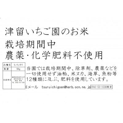 ふるさと納税 筑後市 津留いちご園のこだわり米　栽培期間中　農薬・化学肥料不使用(ヒノヒカリ 玄米 5kg)