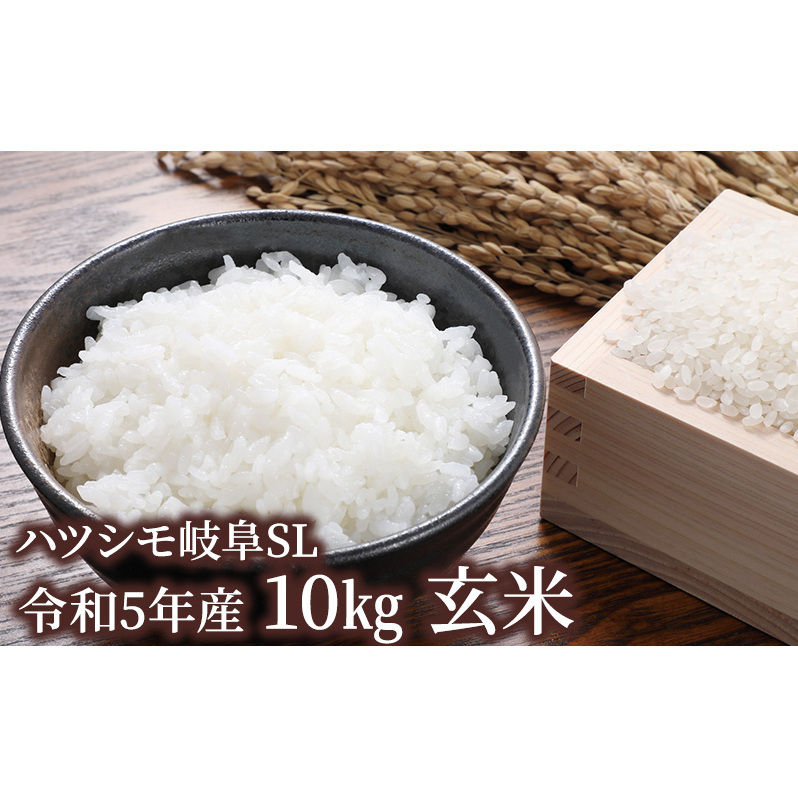 ハツシモ岐阜SL 令和5年産 10kg 玄米