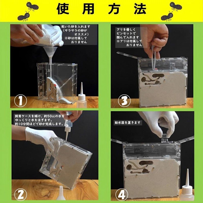 アリの巣 観察 飼育 キット 砂は別売 蟻 アリ飼育キット 飼育