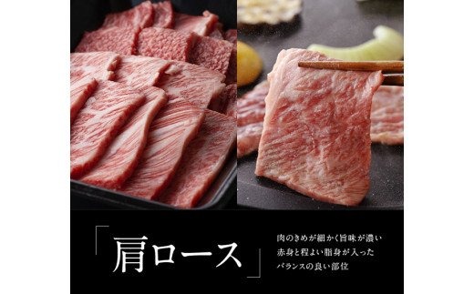 ※令和6年2月より順次発送※宮崎牛 ＆ 宮崎県産豚 焼肉セット 1.4kg [G0667]